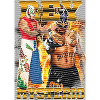 idol singer-GS  2432